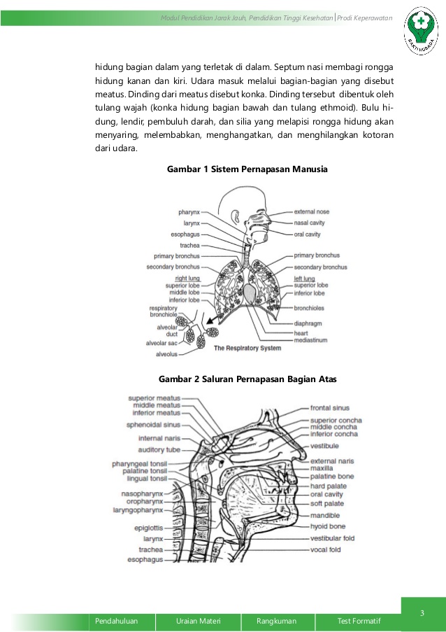 materi anatomi fisiologi manusia